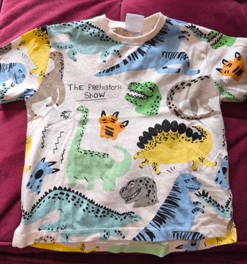 Tee shirt Zara 