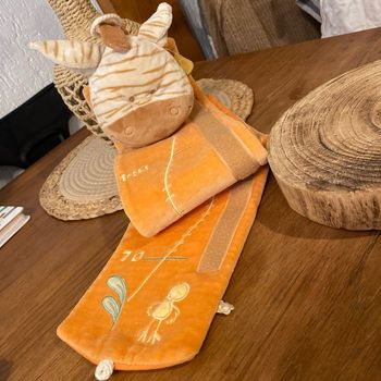 Toise zèbre noukies