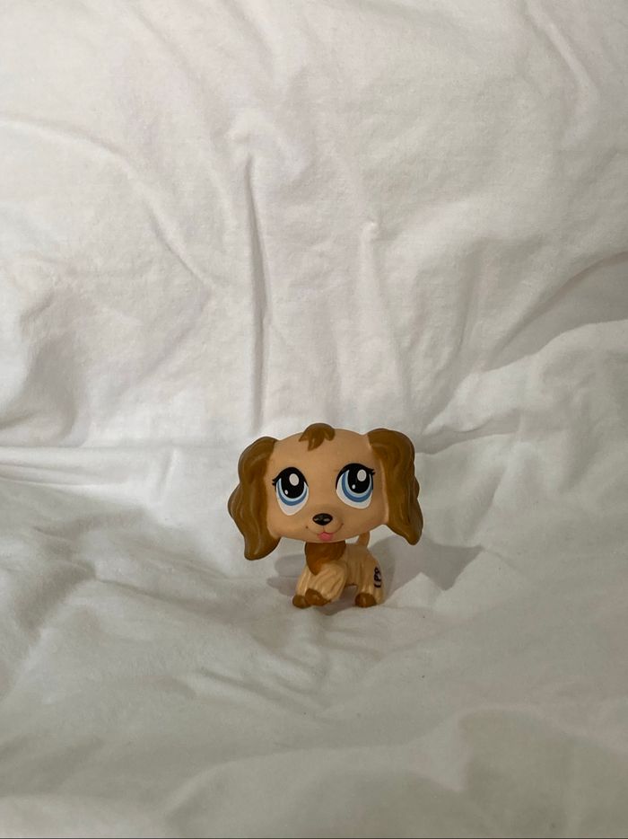 lps cocker