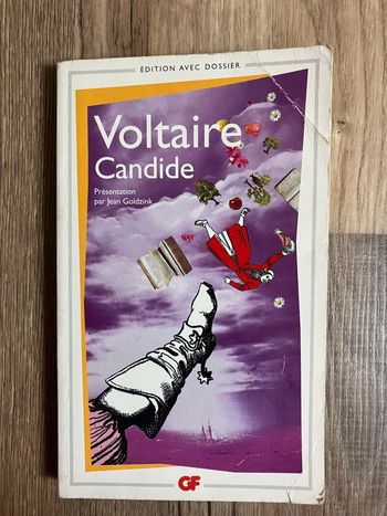Livre de poche-Voltaire-Candide