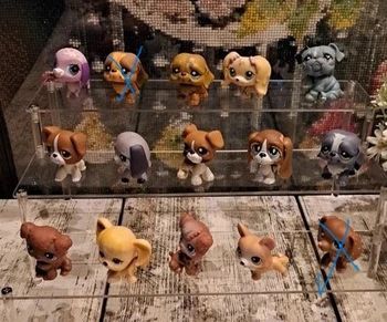 Petshop chien au choix vente à l unité