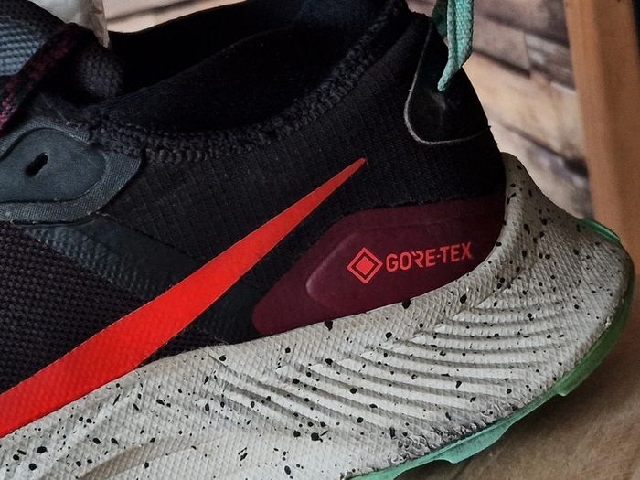 Baskets Pegasus Trail 3 GTX homme 42 - photo numéro 3