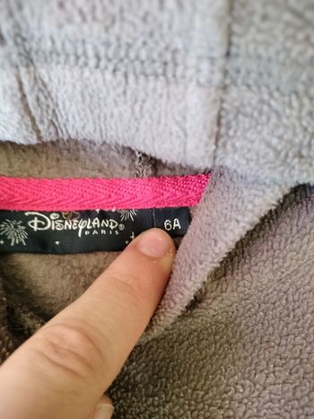 Sweat a capuche polaire garçon 6 ans Disneyland Paris Grincheux en TBE