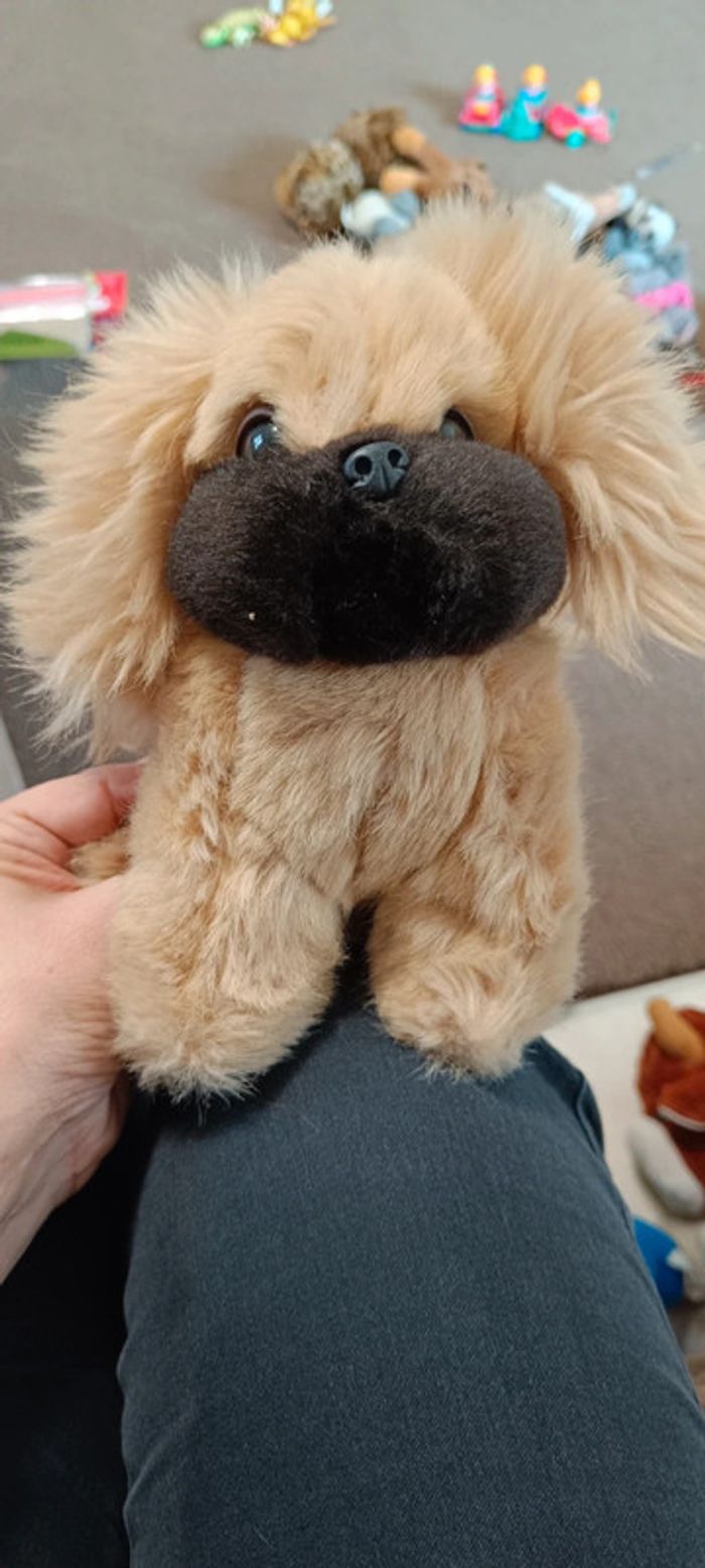 Peluche pékinois aux nations - photo numéro 2