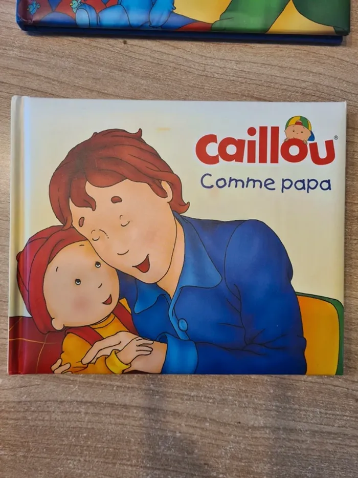 Lot livres caillou - photo numéro 3