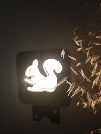 Veilleuse neuve Alinea 