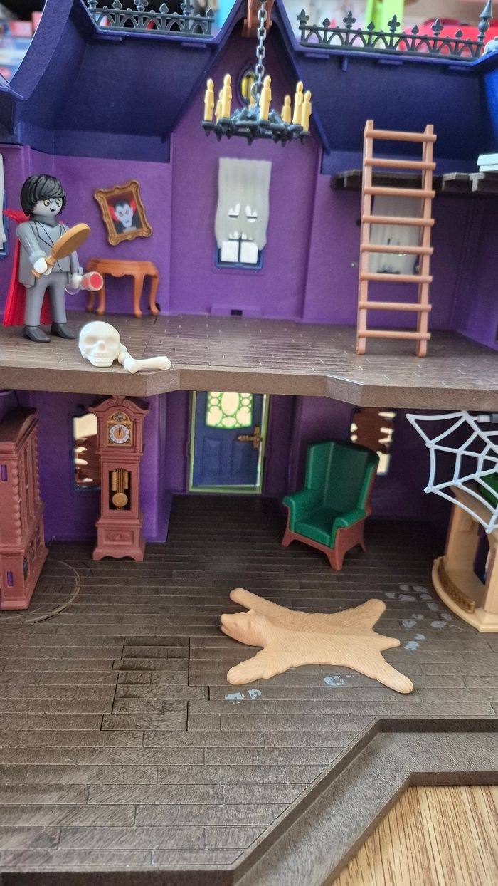 Manoir scooby doo - photo numéro 3