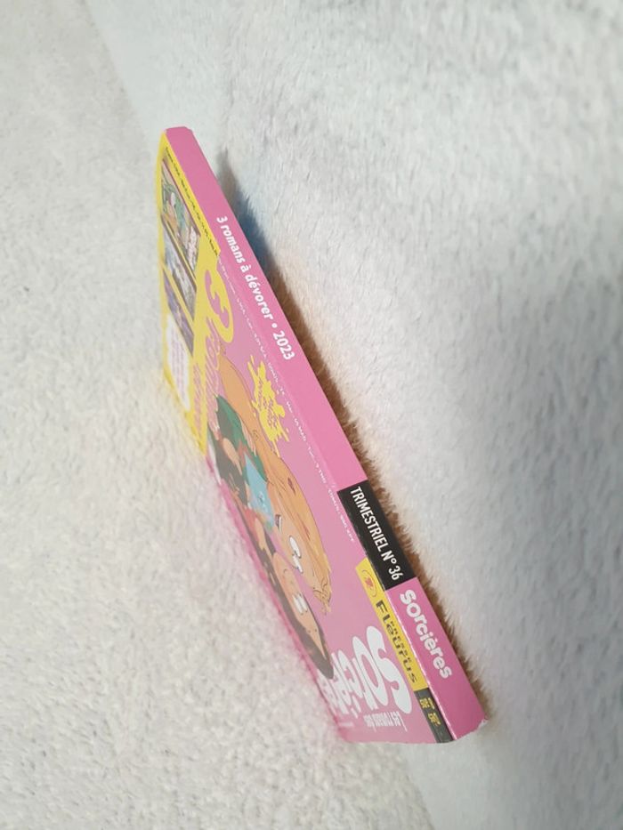 Livre Les romans des sorcières 1er trimestre 2023 neuf - photo numéro 3