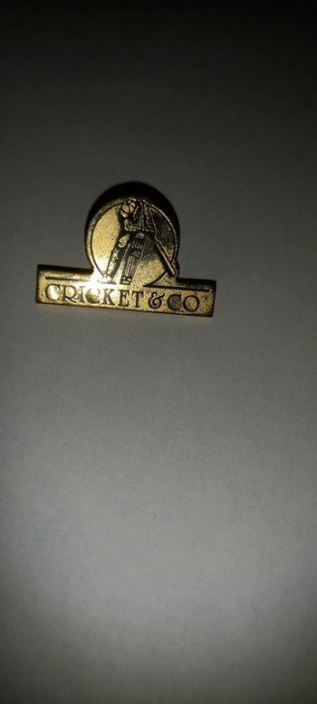 Pin's cricket et co