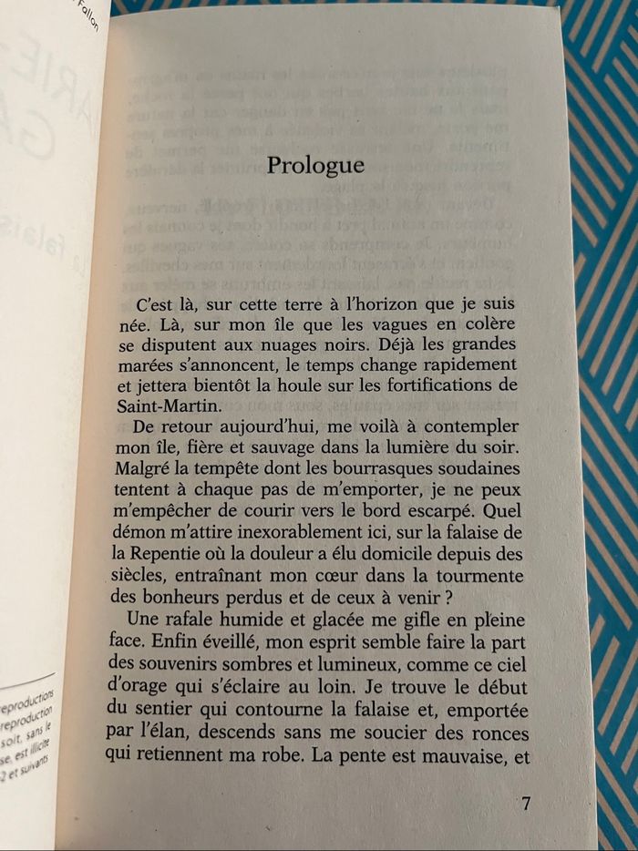 La falaise de la repentie de Marie Béatrice Gauvin - photo numéro 5