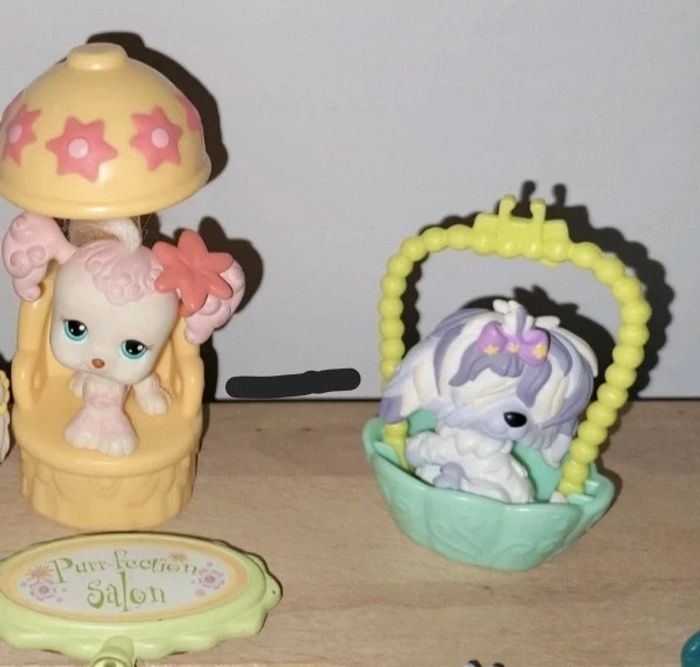 Salon de coiffure beauté littlest pet shop - photo numéro 5