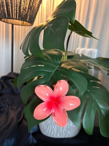 Pince à cheveux en forme de fleur 🌺
