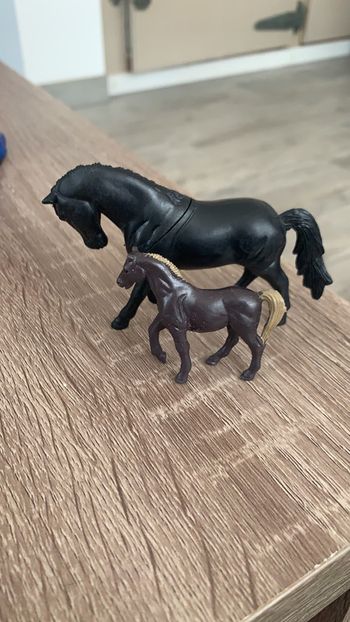 Lots de deux chevaux