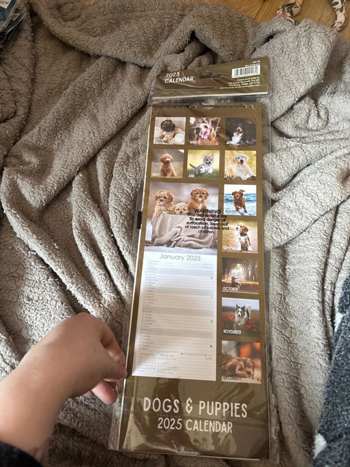 Calandier - photo numéro 2