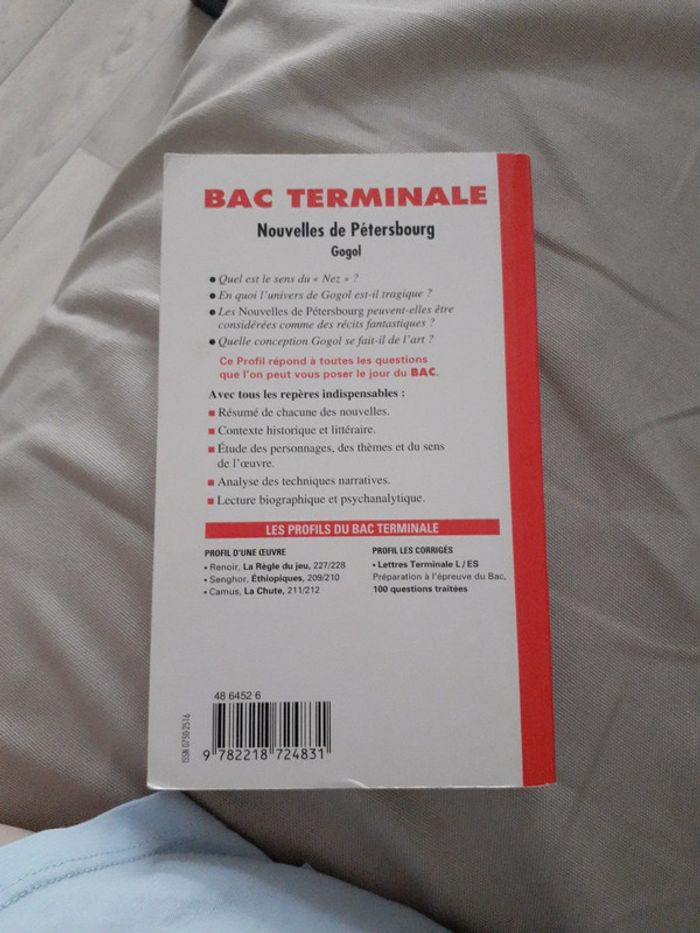 Nouvelles de Petersbourg - photo numéro 2