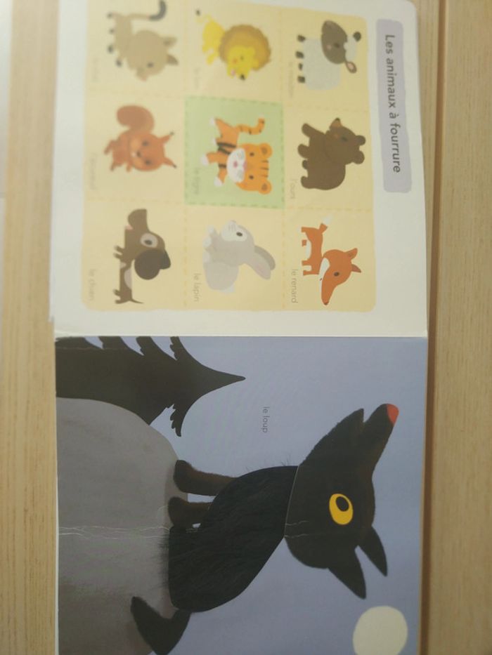 Grand imagier à toucher - photo numéro 17