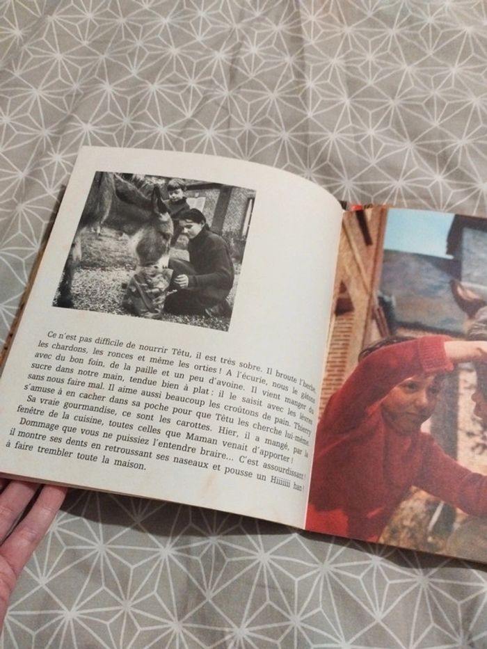 Livre vintage têtu le petit ane - photo numéro 5