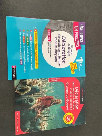 Olympe de gouge déclaration des droits de la femme et de la citoyenne livre analyse lycée bac