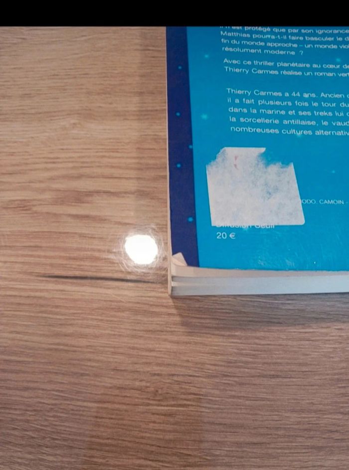 thierry carmes - photo numéro 5