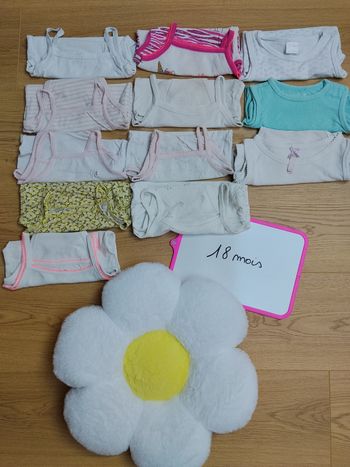 Lot 12 bodys 18 mois