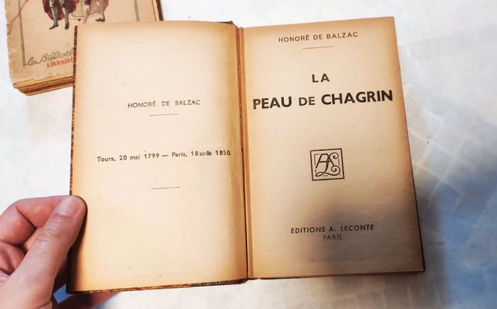 Lot d'anciens livres - photo numéro 6