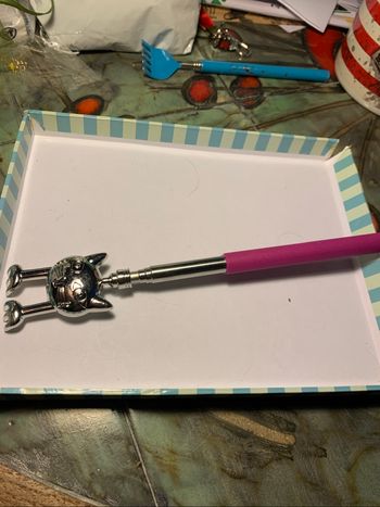Grattoir pour  dos extensible