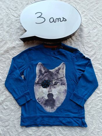Tee shirt manches longues Garçon 3 ans Loup pirate Kiabi