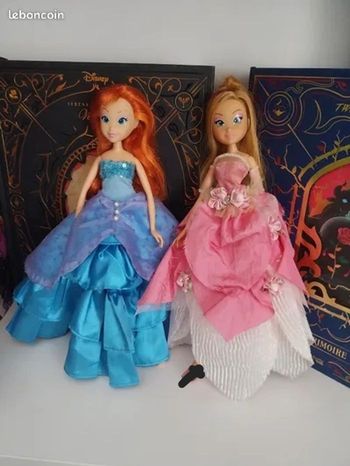 Deux poupées Winx Bloom et Flora Bal des Princesses Princesse Glamour L'Aventure Magique Smoby Witty