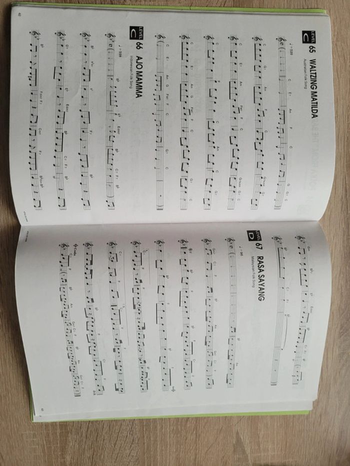 Song book CTK-555L/CTK-560L - photo numéro 2