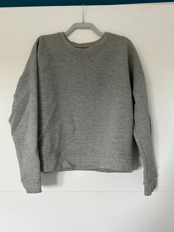 Pull Mango