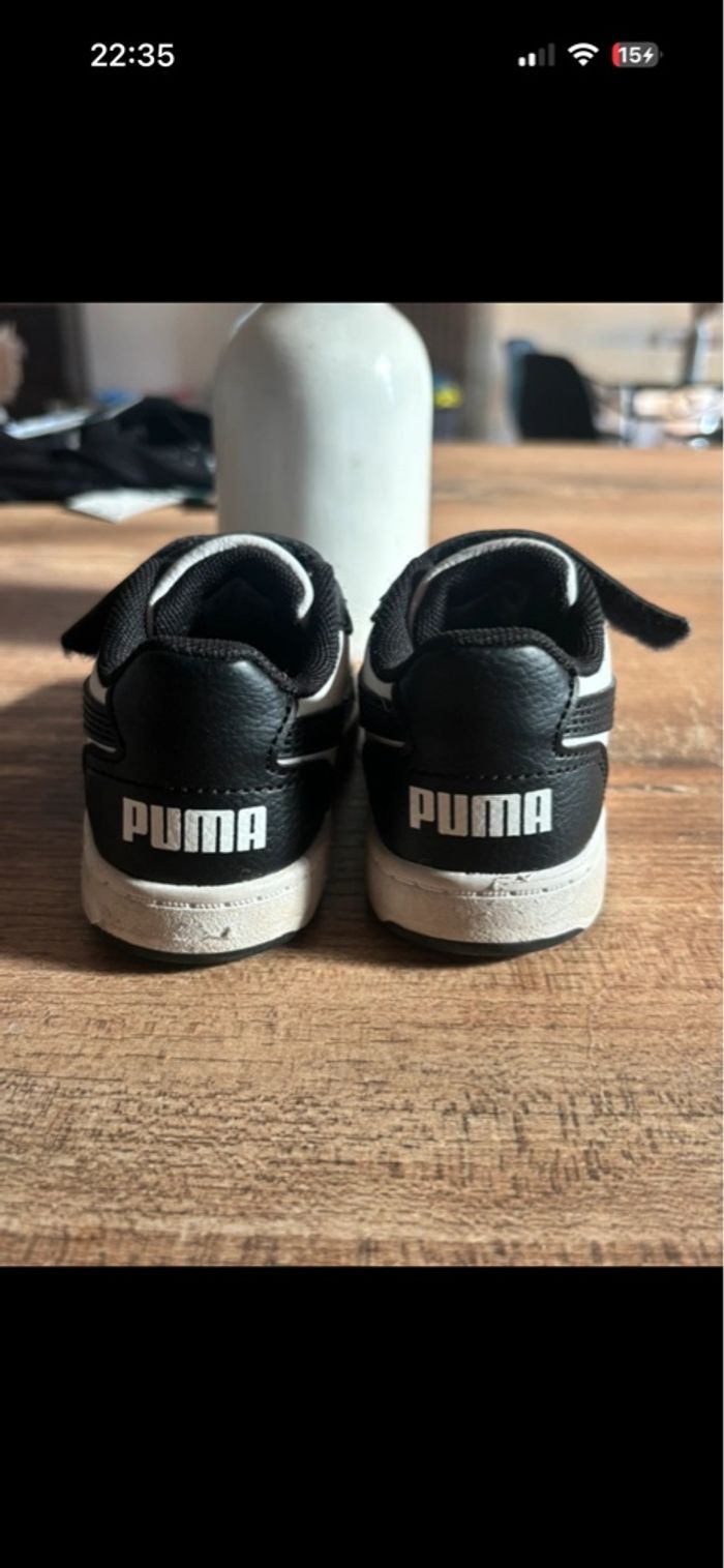 Puma bébé