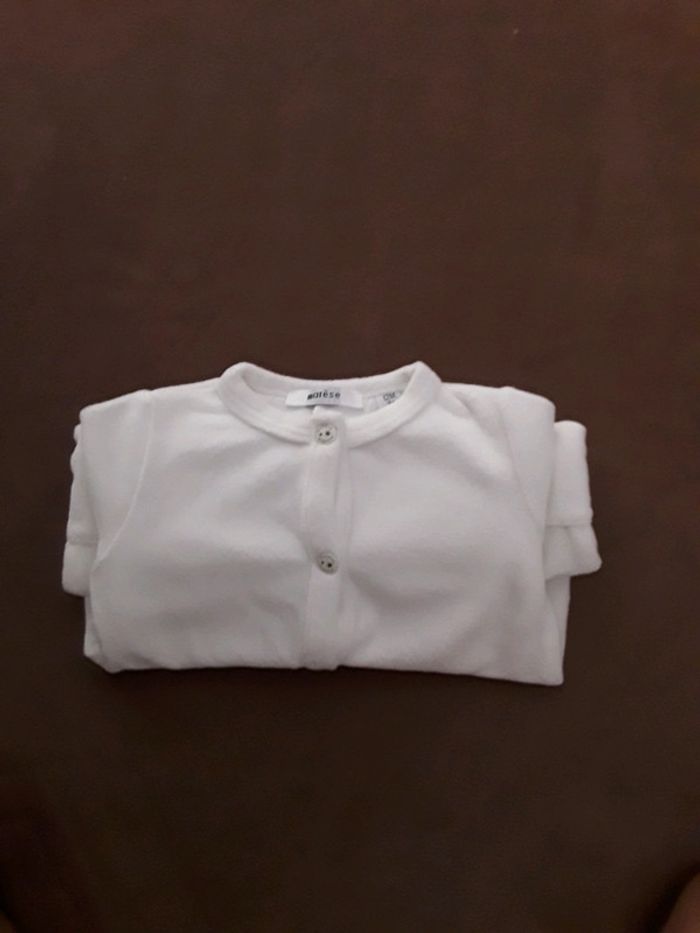 Grenouillère marèse - photo numéro 3