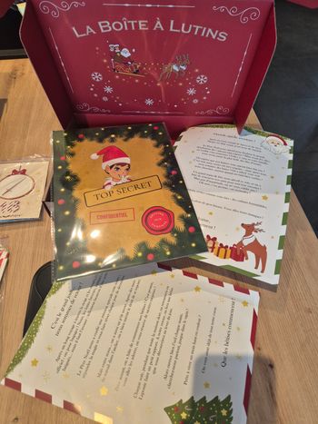 Box betises et voyages des lutins farceurs 