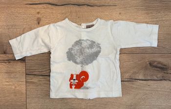 TEE shirt bébé