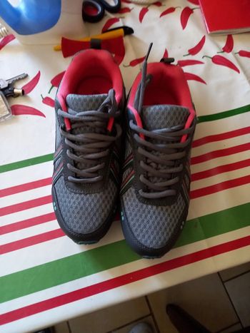 Basket t37 neuve