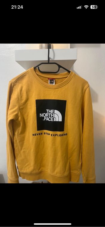 Pulls the north face