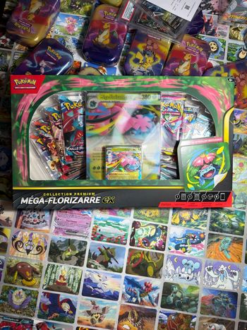 Lot de 2 coffrets mega florizarre 