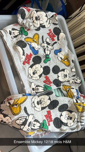 Ensemble Mickey