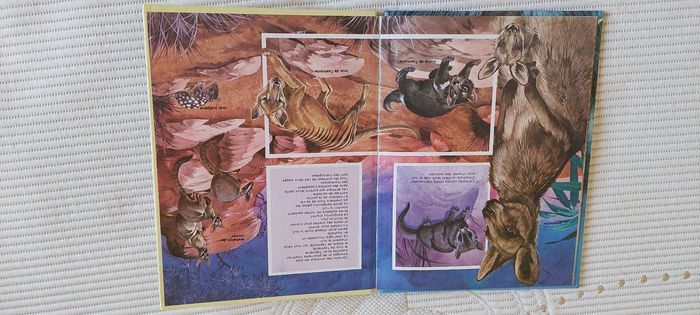 Livre enfant 'les animaux de la nuit' - photo numéro 3