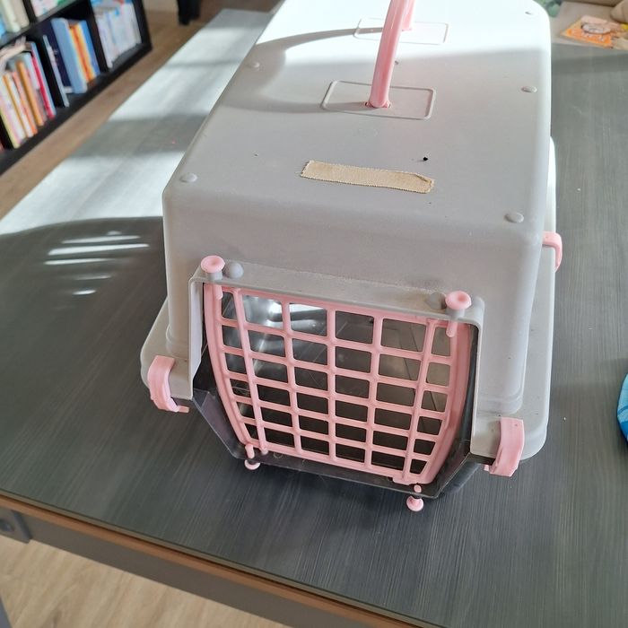 Caisse transport chat