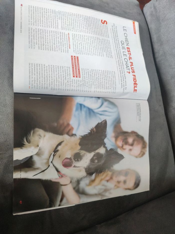Magazine 30 millions d'amis numéro 378 novembre 2019 - photo numéro 9