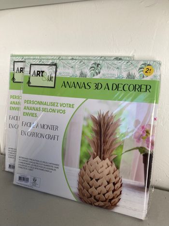 Lot de 2 activités ananas