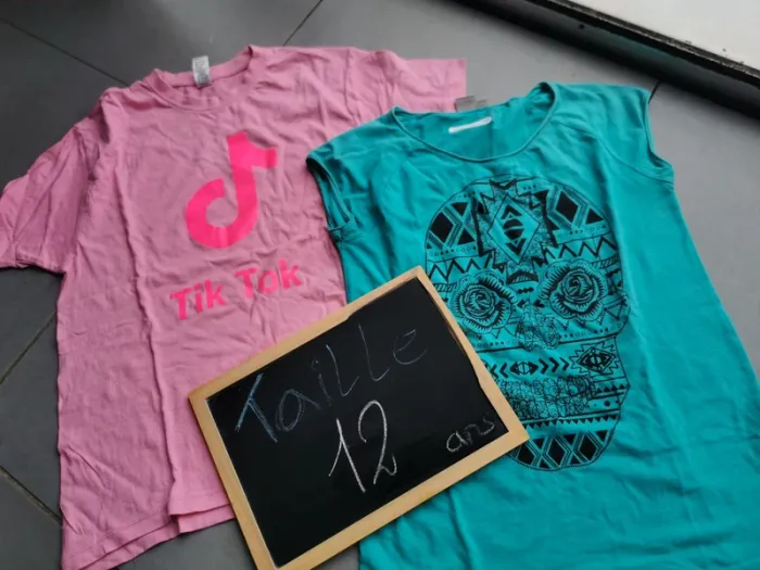 Lot 2 t-shirt fille