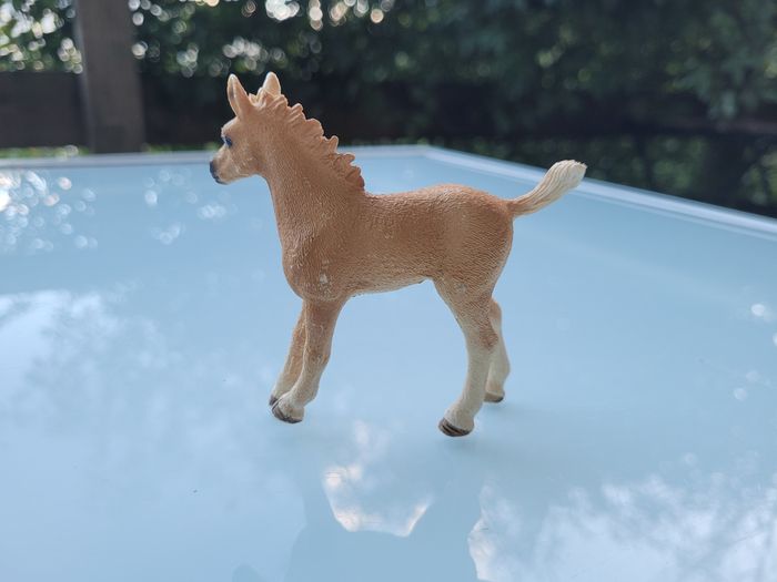 Lot de 3 Poulains Scheich : un beige, 1 brige et noir et 1 marron et blanc - photo numéro 9