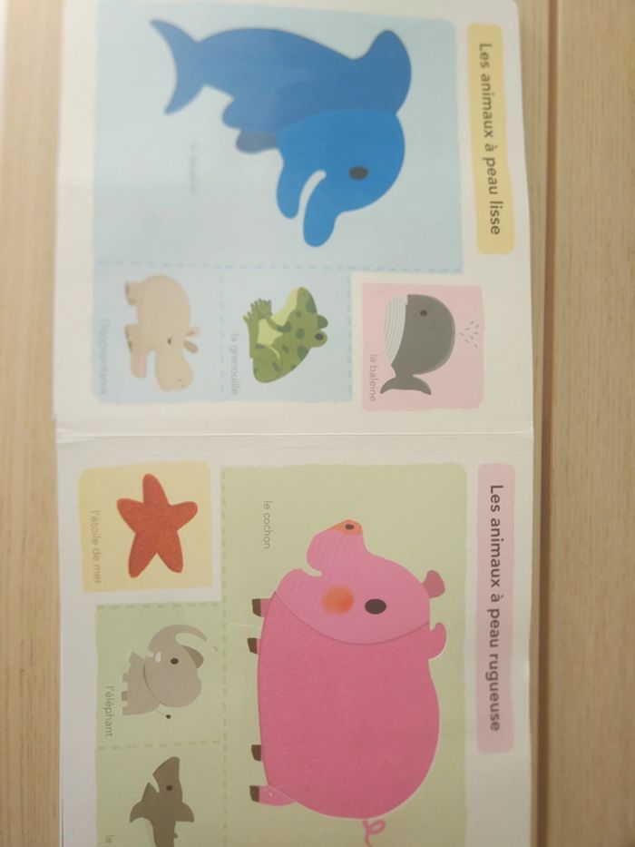 Grand imagier à toucher - photo numéro 15