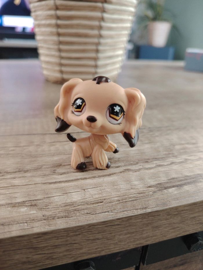 Figurine Petshop Littlest Petshop chien colley #575 tbe