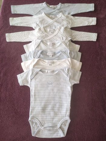 Lot 7 bodies