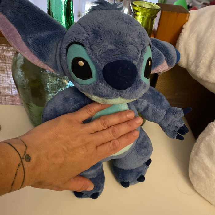Grand Stich - photo numéro 2