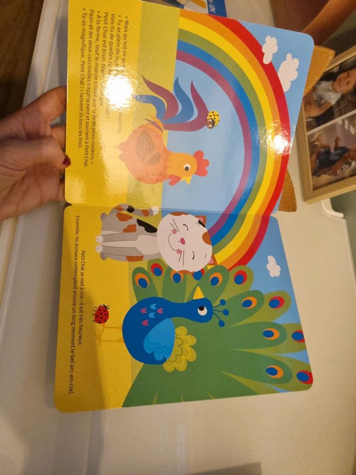 Petit chat apprend les couleurs - photo numéro 4