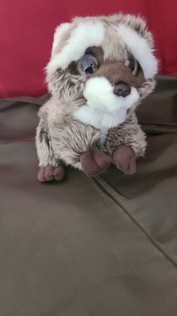 Peluche Wild Republic Raton Laveur Wild Watcher